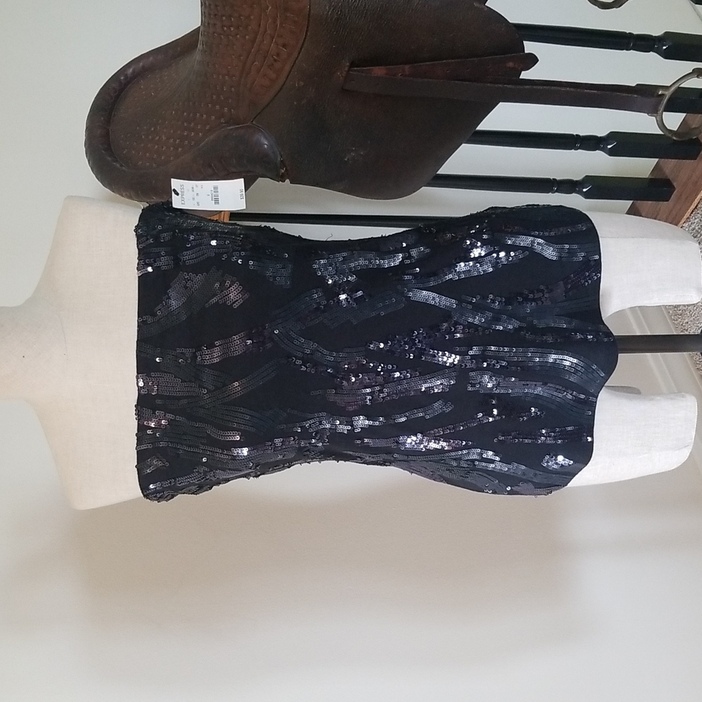 NWT Express Sexy Sparkley Tank Tube Top with bra